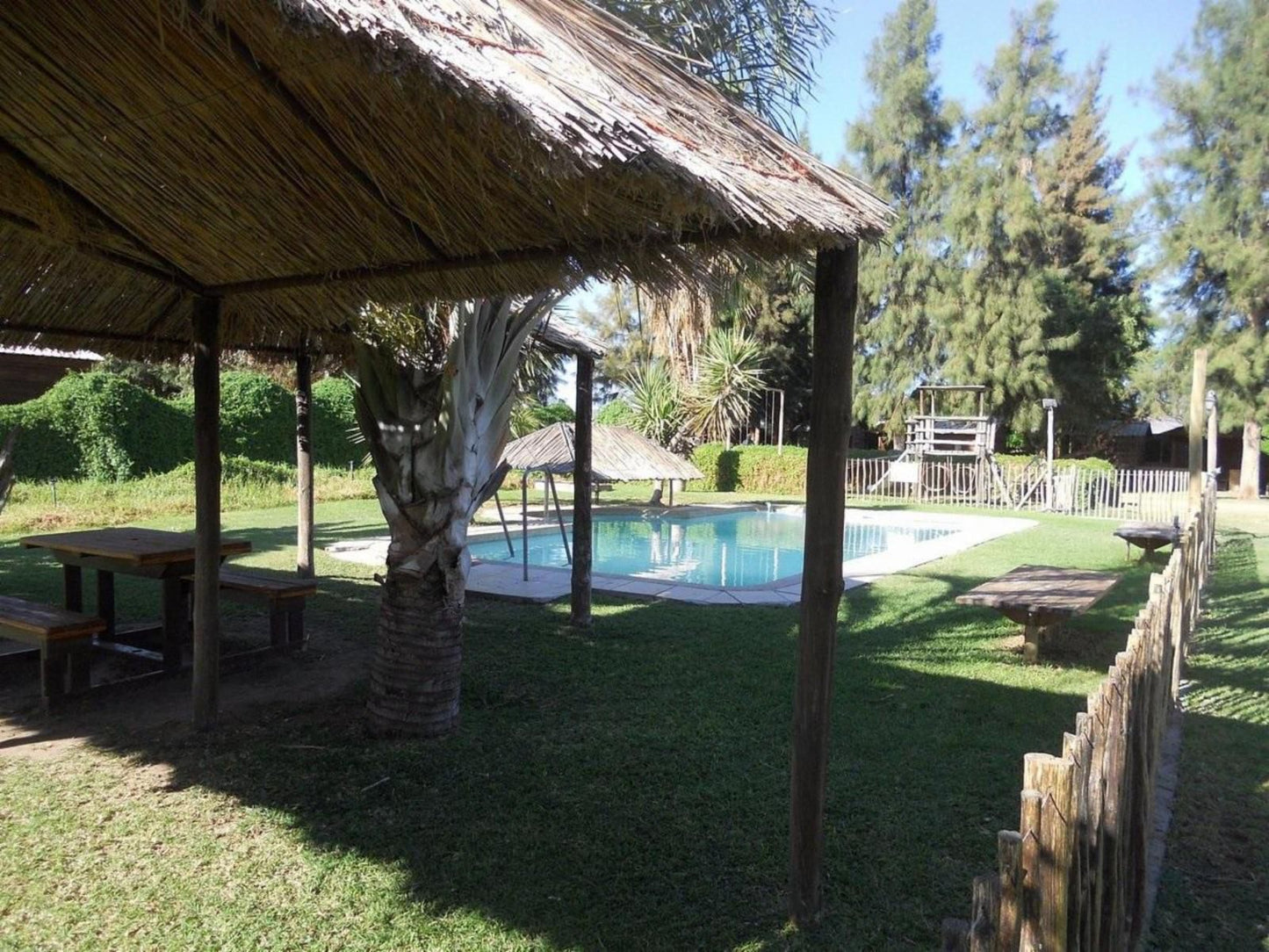 Orange River Rafting Lodge Vioolsdrift Northern Cape South Africa Palm Tree, Plant, Nature, Wood, Swimming Pool