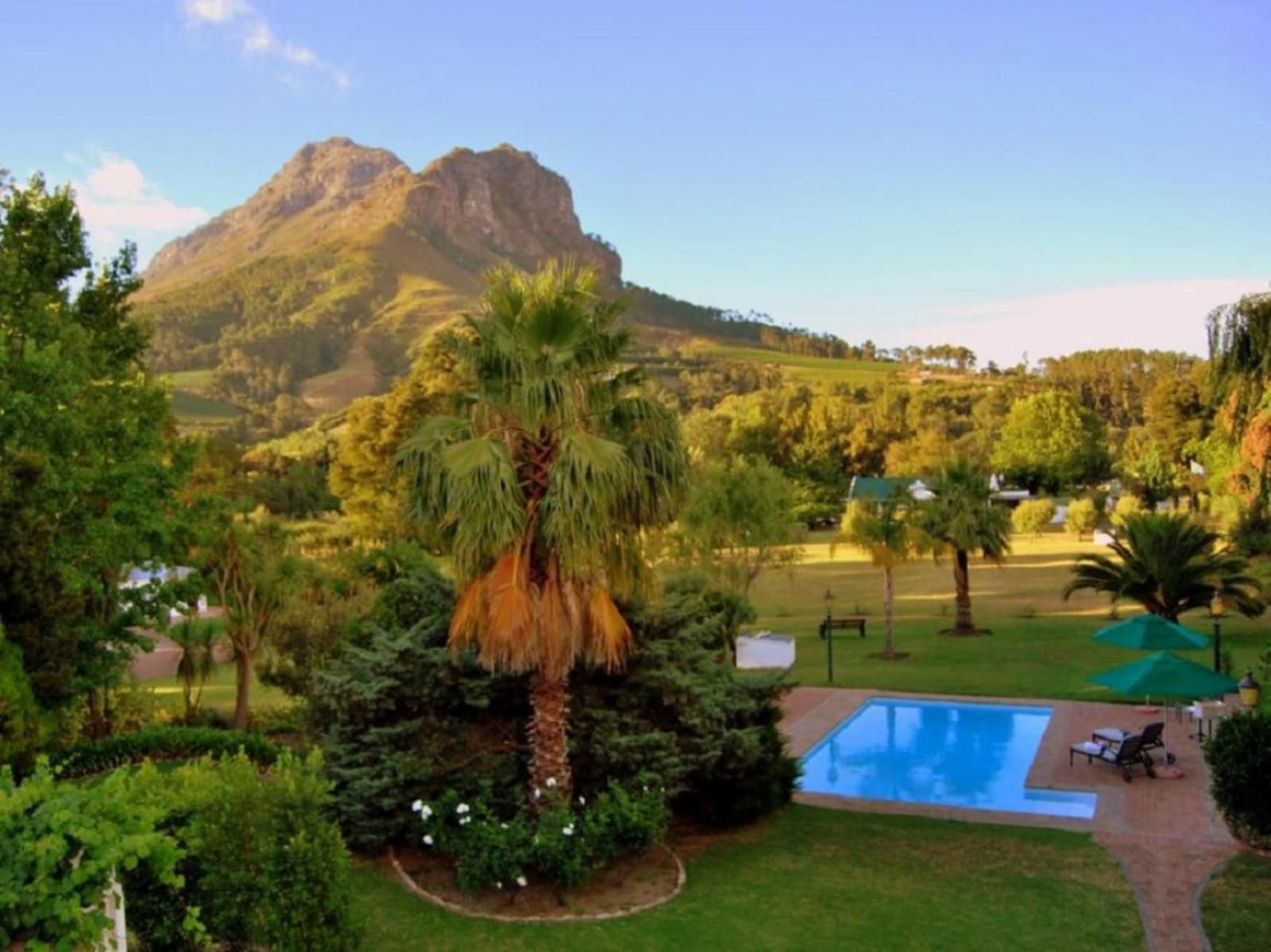 Orange-Ville Lodge & Guesthouse, Palm Tree, Plant, Nature, Wood