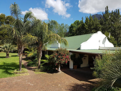 Orange-Ville Lodge & Guesthouse, House, Building, Architecture, Palm Tree, Plant, Nature, Wood