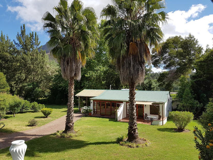 Orange-Ville Lodge & Guesthouse, Palm Tree, Plant, Nature, Wood