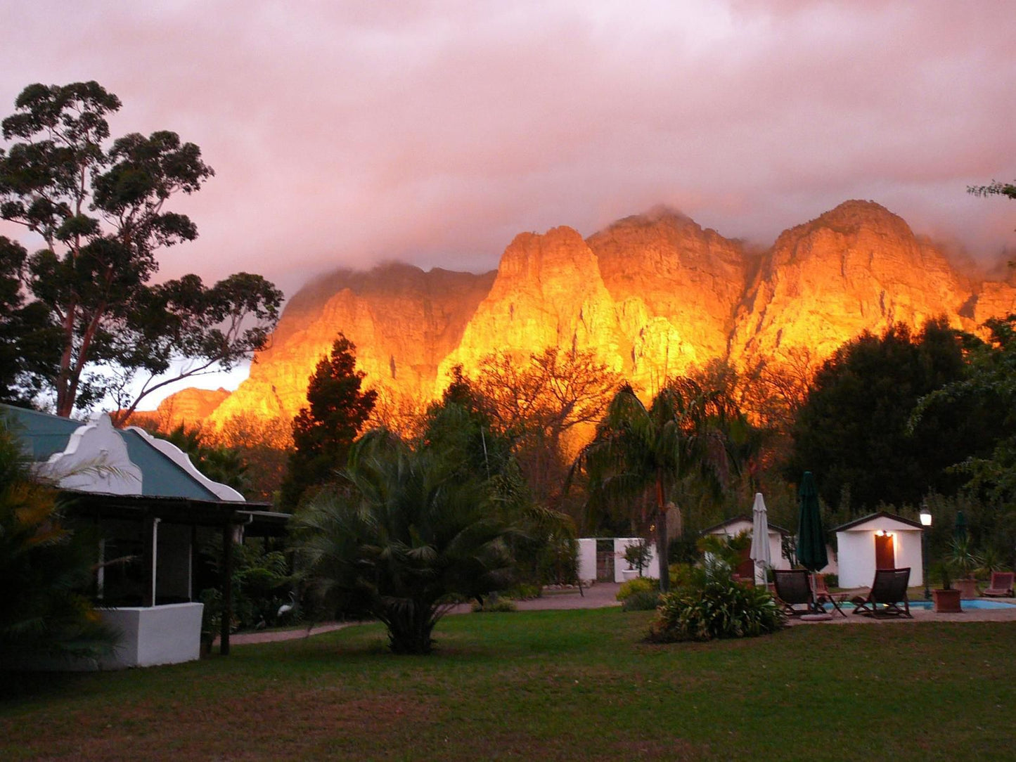 Orange Ville Guest House Kylemore Stellenbosch Western Cape South Africa Palm Tree, Plant, Nature, Wood