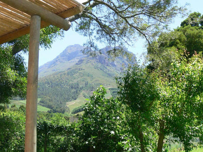 Orange Ville Guest House Kylemore Stellenbosch Western Cape South Africa Mountain, Nature, Tree, Plant, Wood, Highland