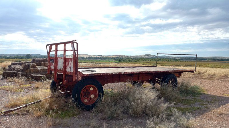 Orange Vineyard Guestfarm Grootdrink Northern Cape South Africa Field, Nature, Agriculture, Tractor, Vehicle, Lowland