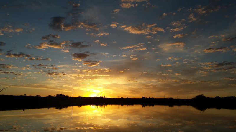 Orange Vineyard Guestfarm Grootdrink Northern Cape South Africa Sky, Nature, Sunset