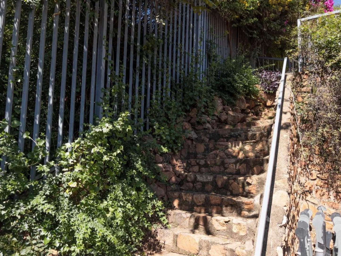 Orangerie Northcliff Johannesburg Gauteng South Africa Wall, Architecture, Brick Texture, Texture, Garden, Nature, Plant