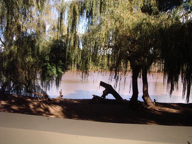 Orangia Game Lodge Aliwal North Eastern Cape South Africa River, Nature, Waters, Tree, Plant, Wood