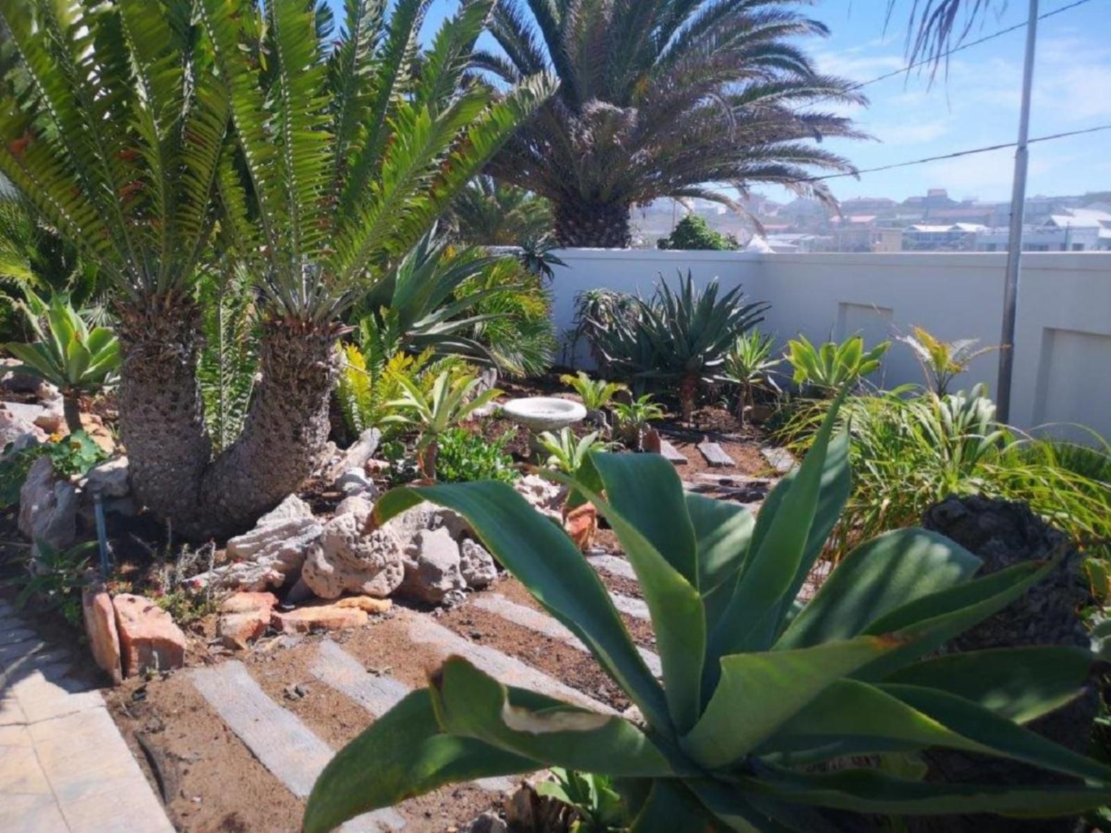 Orca House, Palm Tree, Plant, Nature, Wood, Garden