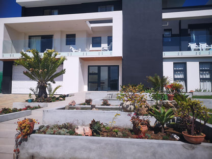 Orca House, Balcony, Architecture, House, Building, Palm Tree, Plant, Nature, Wood