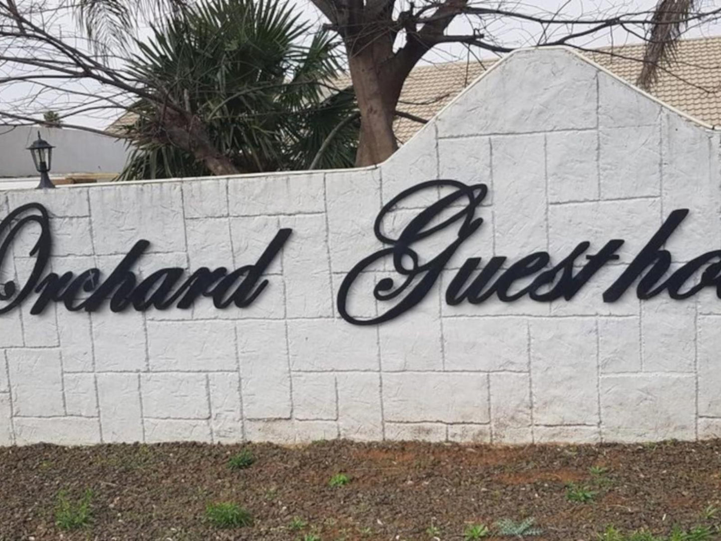 Orchard Guest House Fichardt Park Bloemfontein Free State South Africa Unsaturated, Palm Tree, Plant, Nature, Wood, Sign