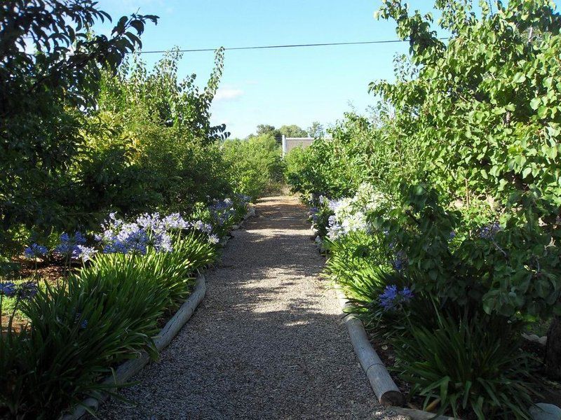 Orchard Cottage Mcgregor Western Cape South Africa Plant, Nature, Garden