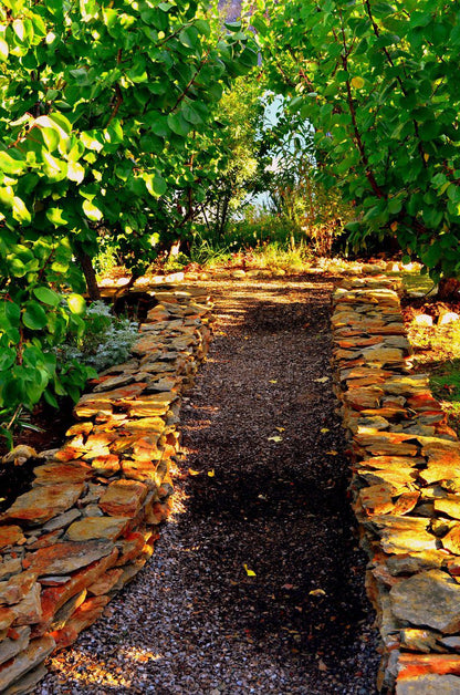 Orchard Cottage Mcgregor Western Cape South Africa Plant, Nature, Tree, Wood, Autumn