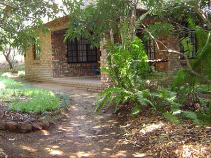 Orchards Farm Cottages Komatipoort Mpumalanga South Africa Tree, Plant, Nature, Wood