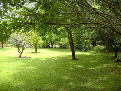 Orchards Farm Cottages Komatipoort Mpumalanga South Africa Colorful, Plant, Nature, Tree, Wood