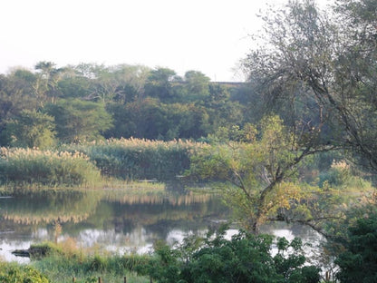 Orchards Farm Cottages Komatipoort Mpumalanga South Africa Unsaturated, River, Nature, Waters, Tree, Plant, Wood