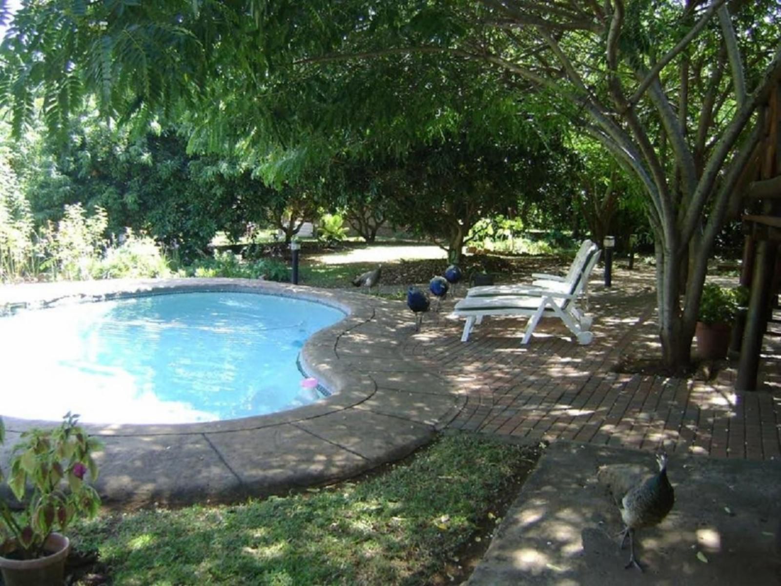 Orchards Farm Cottages Komatipoort Mpumalanga South Africa Palm Tree, Plant, Nature, Wood, Garden, Swimming Pool