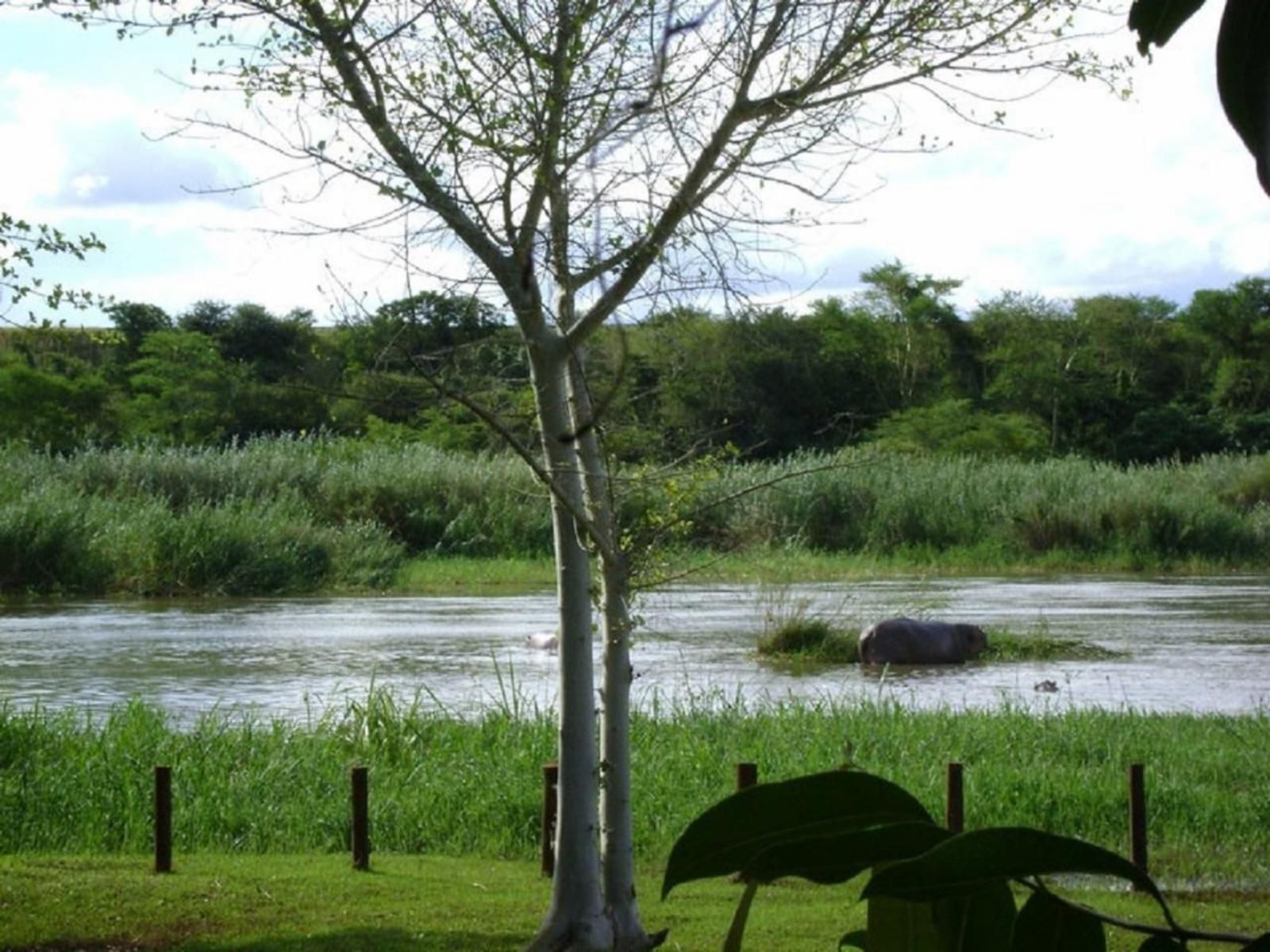 Orchards Farm Cottages Komatipoort Mpumalanga South Africa River, Nature, Waters