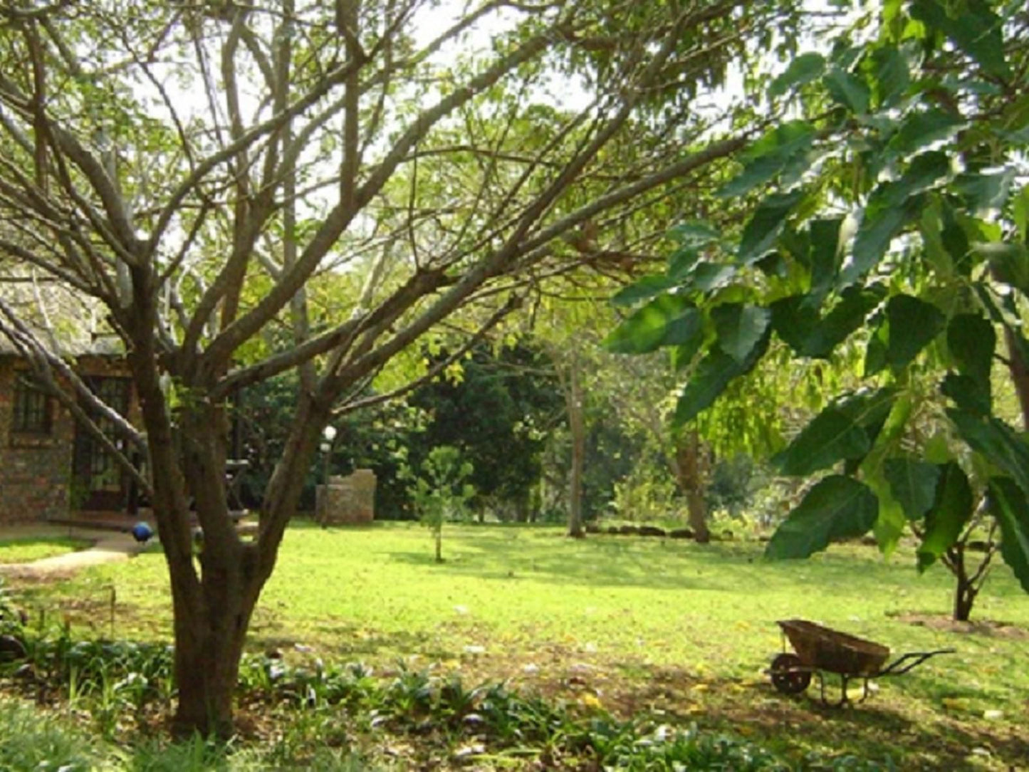 Orchards Farm Cottages Komatipoort Mpumalanga South Africa Plant, Nature, Tree, Wood