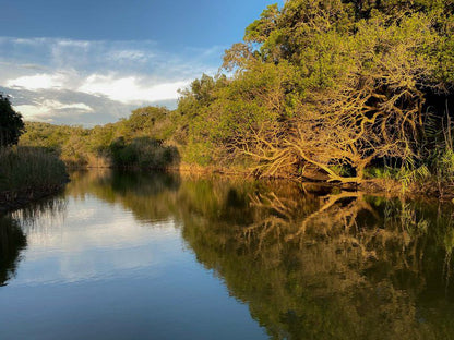 Oribi Haven Cottages Port Alfred Eastern Cape South Africa River, Nature, Waters