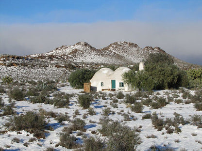 Osfontein Corbelled Guest House Carnarvon Northern Cape South Africa Cactus, Plant, Nature, Desert, Sand