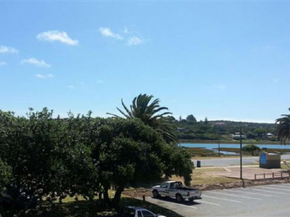 Osler Place Stilbaai Stilbaai Western Cape South Africa Palm Tree, Plant, Nature, Wood