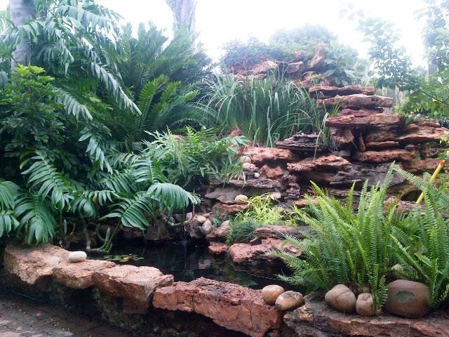 Othandweni Guest House Olifantsfontein Johannesburg Gauteng South Africa Plant, Nature, Waterfall, Waters, Garden