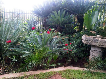 Othandweni Guest House Olifantsfontein Johannesburg Gauteng South Africa Palm Tree, Plant, Nature, Wood, Garden