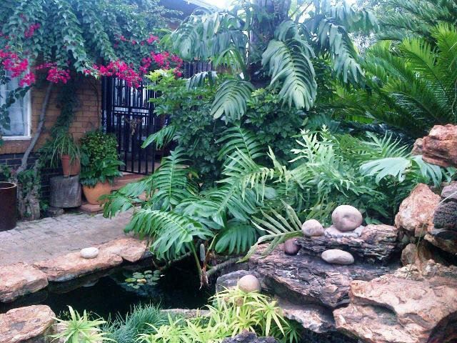 Othandweni Guest House Olifantsfontein Johannesburg Gauteng South Africa Plant, Nature, Garden