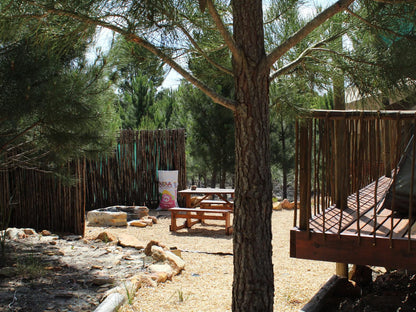 Otium Oasis Glamping And Camping Caledon Western Cape South Africa 