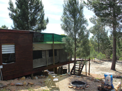 Otium Oasis Glamping And Camping Caledon Western Cape South Africa Cabin, Building, Architecture