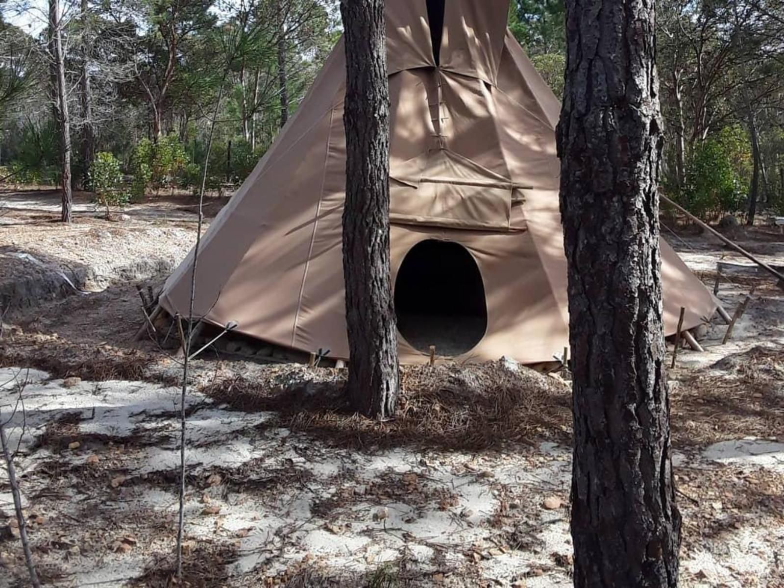 Otium Oasis Glamping And Camping Caledon Western Cape South Africa Unsaturated, Forest, Nature, Plant, Tree, Wood, Tent, Architecture