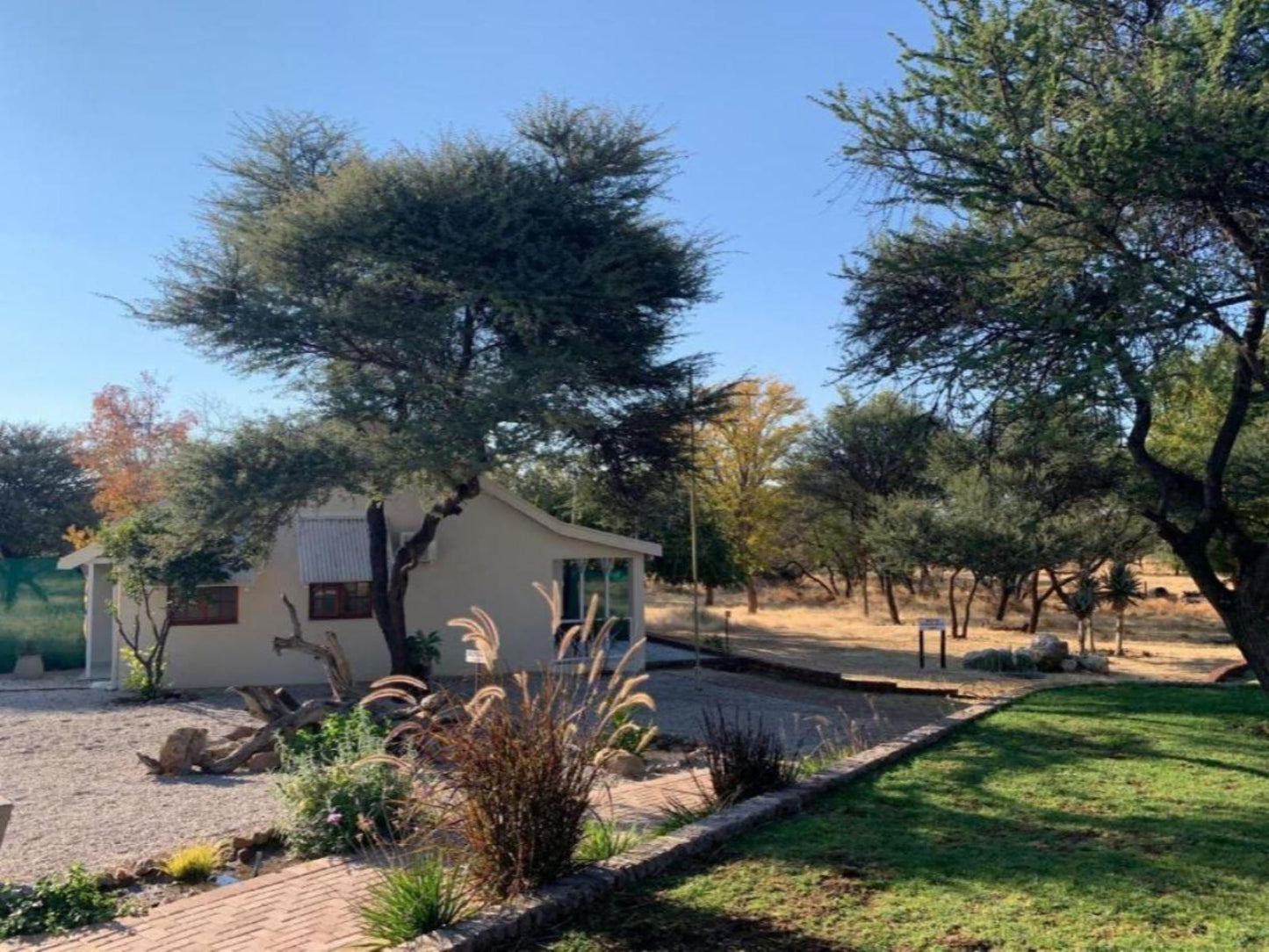 Otjibamba Lodge, Plant, Nature