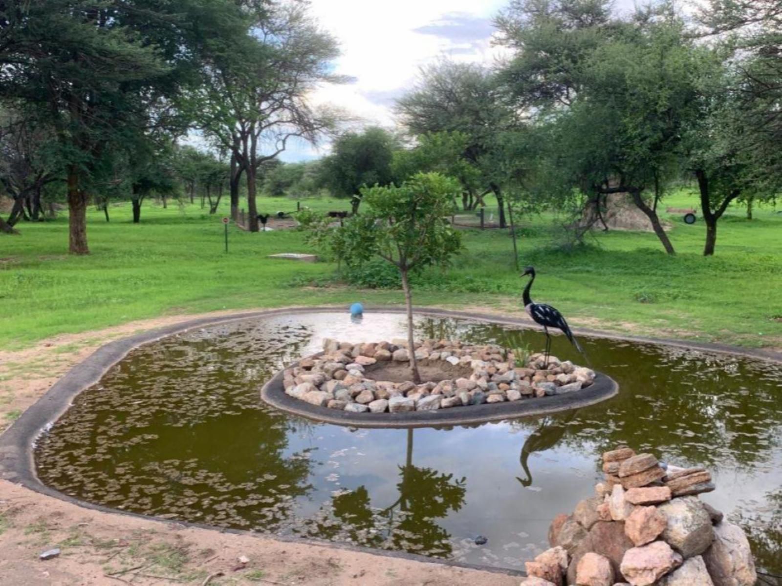 Otjibamba Lodge, Bird, Animal