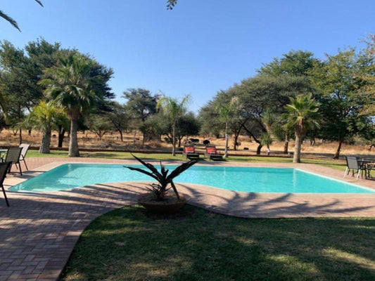 Otjibamba Lodge, Palm Tree, Plant, Nature, Wood, Swimming Pool