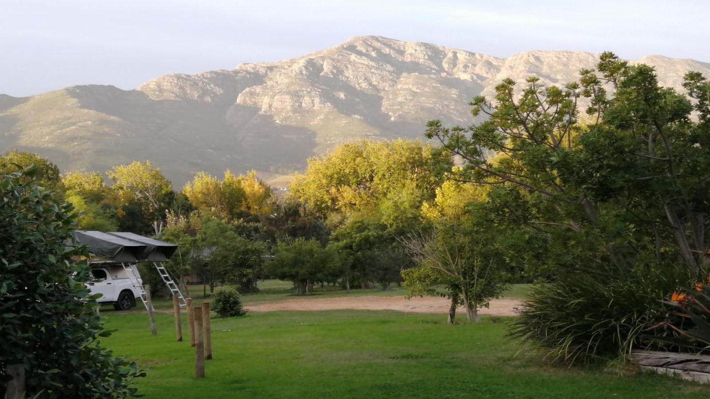 Otter S Bend Lodge Franschhoek Western Cape South Africa Nature