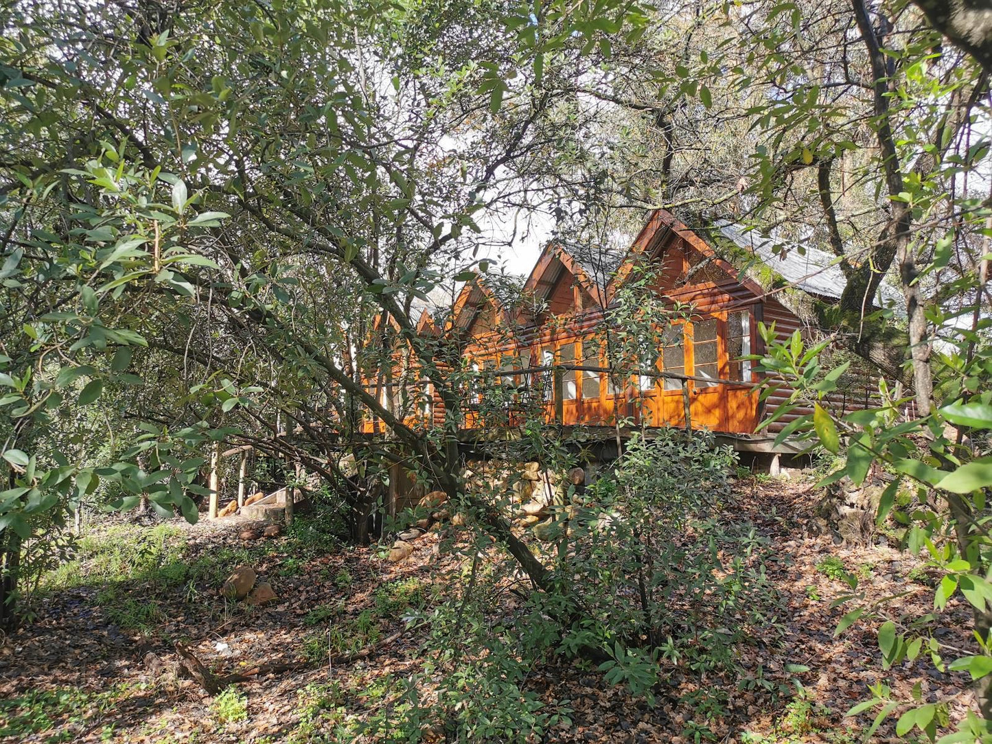 Otter S Bend Lodge Franschhoek Western Cape South Africa Cabin, Building, Architecture, Tree, Plant, Nature, Wood