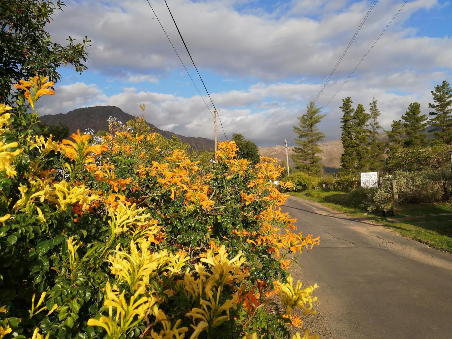 Otter S Bend Lodge Franschhoek Western Cape South Africa Plant, Nature, Street