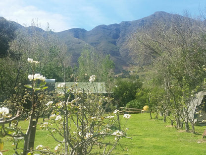 Otter S Bend Lodge Franschhoek Western Cape South Africa Blossom, Plant, Nature, Meadow, Mountain, Highland