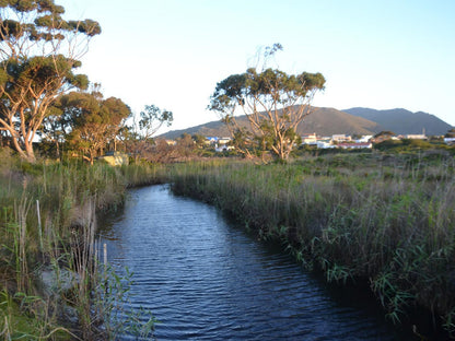 Otters Creek Pringle Bay Western Cape South Africa River, Nature, Waters