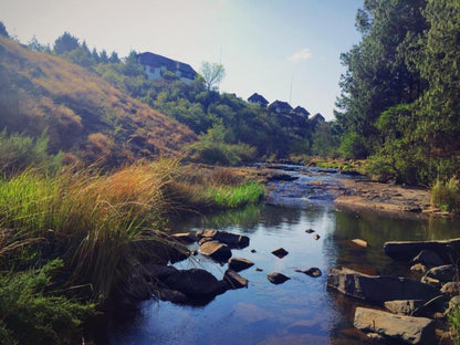 Otters Den Self Catering Cottages Nottingham Road Kwazulu Natal South Africa River, Nature, Waters, Tree, Plant, Wood