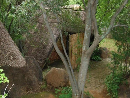 Otters Haunt Parys Free State South Africa Ruin, Architecture, Tree, Plant, Nature, Wood