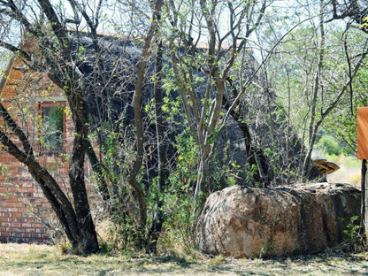 Otters Haunt Parys Free State South Africa Forest, Nature, Plant, Tree, Wood, Ruin, Architecture