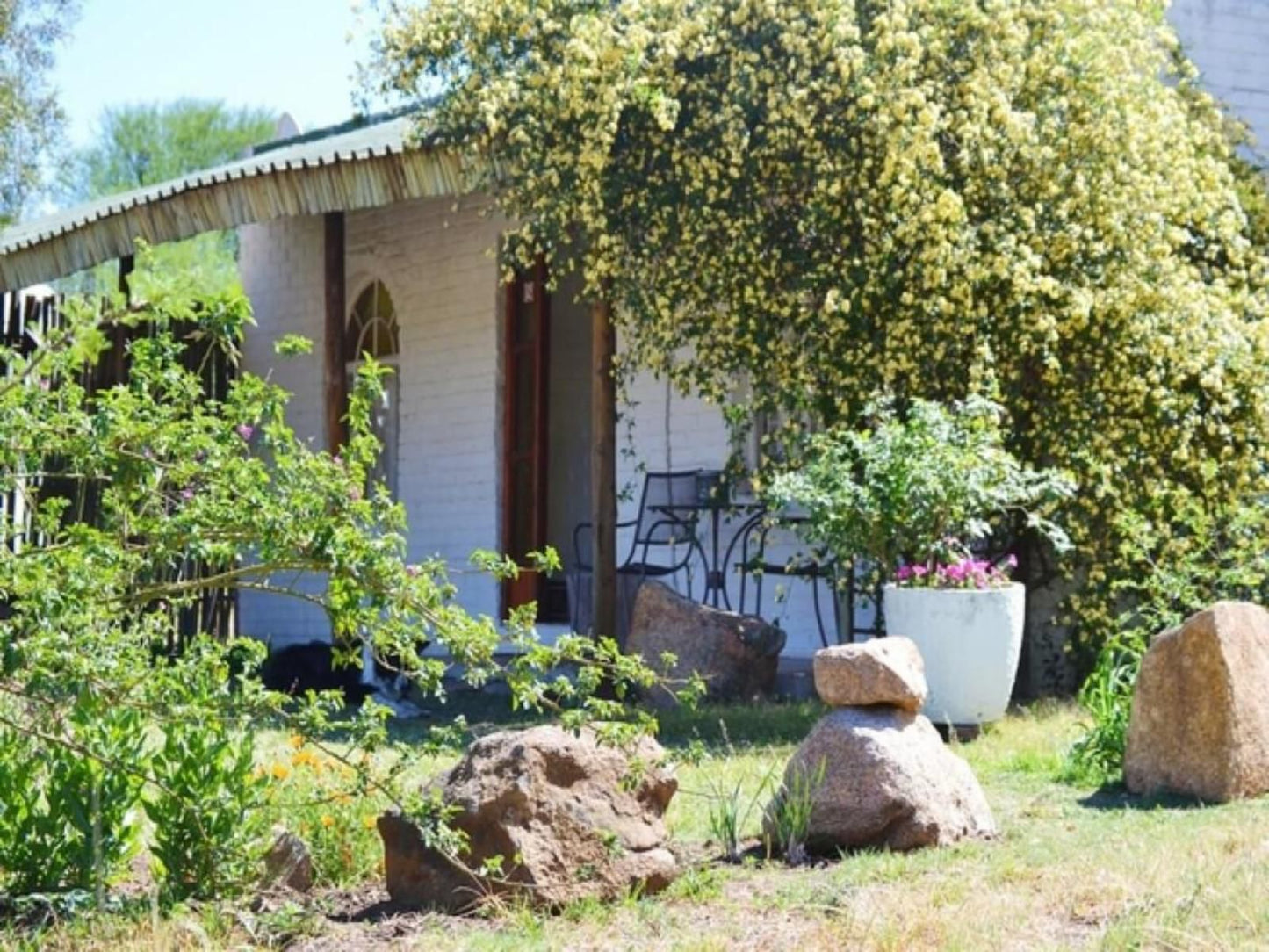 Otters Haunt Parys Free State South Africa Plant, Nature, Garden