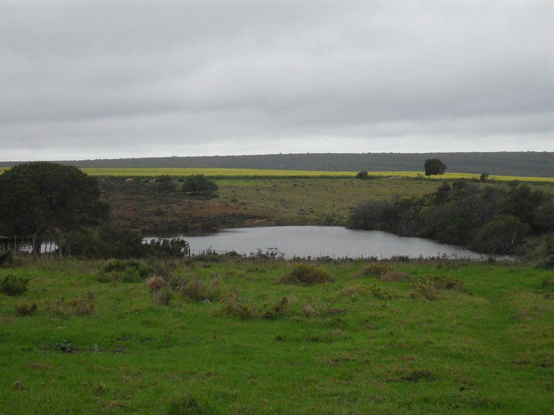 Ou Werf Farm Cottage Bredasdorp Western Cape South Africa Nature