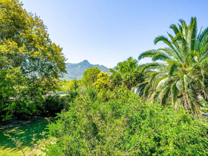 Oude Berg Guesthouse - 10 Caledon Street, Colorful, Palm Tree, Plant, Nature, Wood