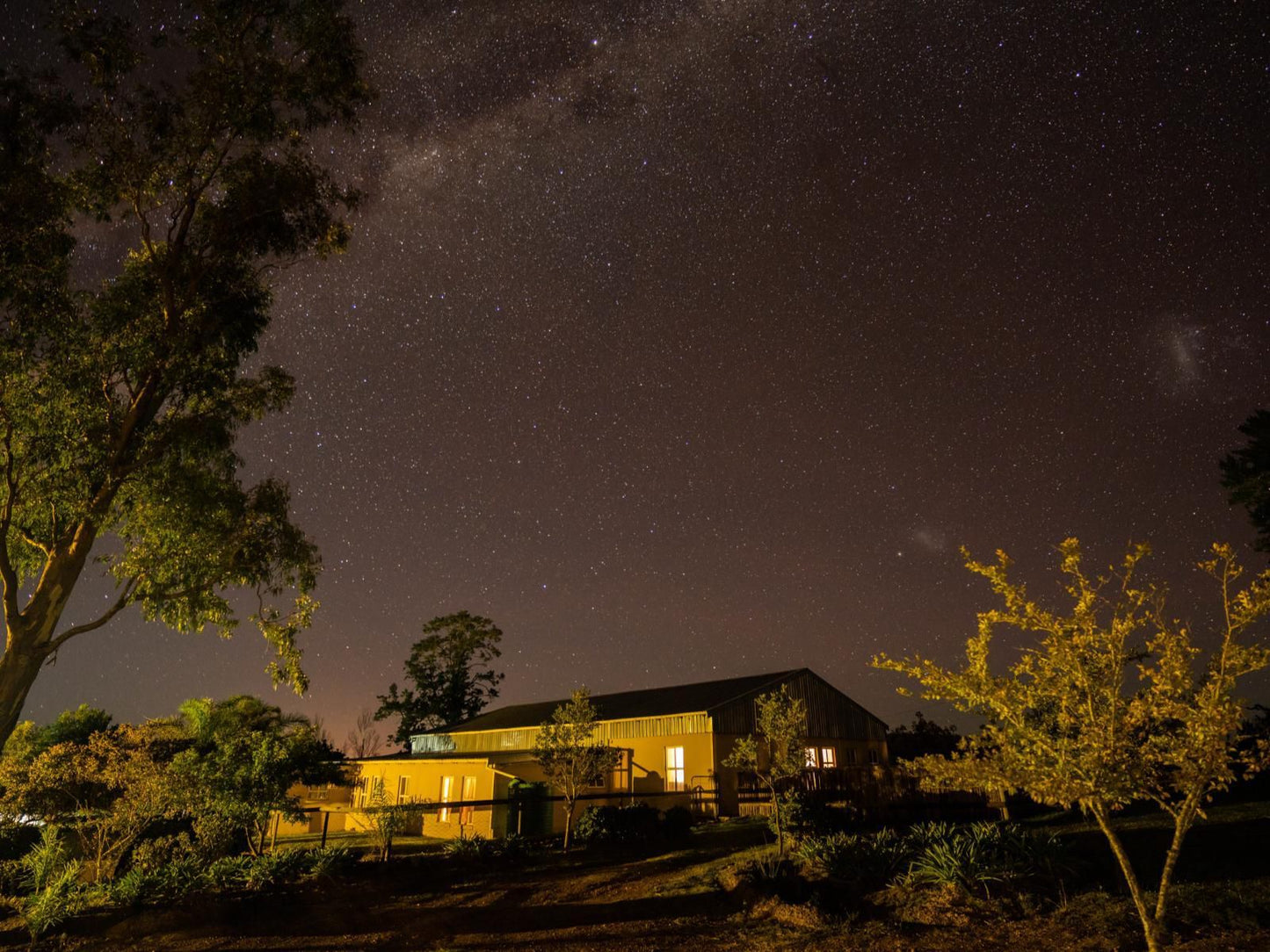 Oudebosch Guest Farm Riversdal Riversdale Western Cape South Africa Night Sky, Nature