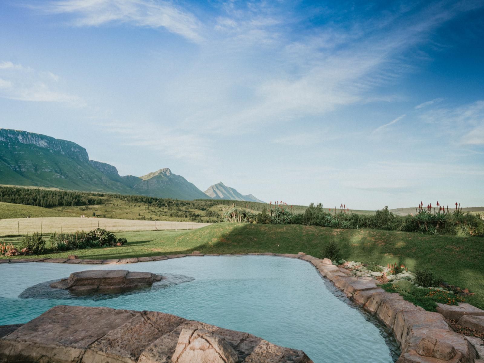 Oudebosch Guest Farm Riversdal Riversdale Western Cape South Africa Mountain, Nature, Highland, Swimming Pool