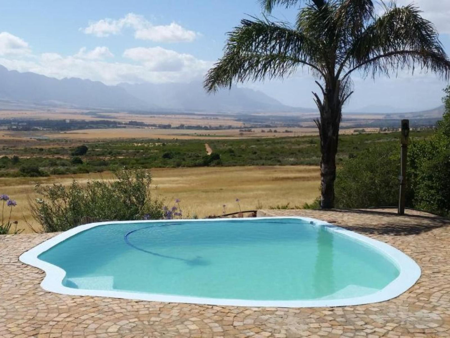 Oudekloof Wine Estate And Guest House Tulbagh Western Cape South Africa Complementary Colors, Swimming Pool