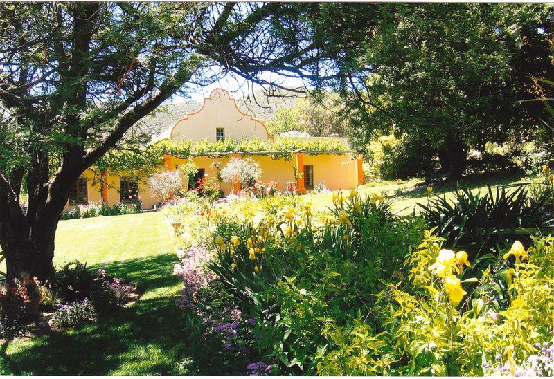 Oudemuragie Guest Farm Oudtshoorn Western Cape South Africa Plant, Nature, Garden