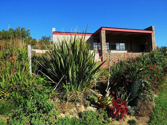 Oudemuragie Guest Farm Oudtshoorn Western Cape South Africa Complementary Colors, House, Building, Architecture, Palm Tree, Plant, Nature, Wood
