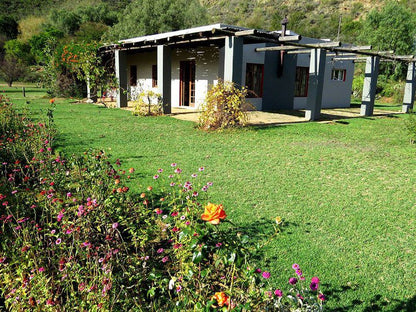 Oudemuragie Guest Farm Oudtshoorn Western Cape South Africa House, Building, Architecture, Plant, Nature
